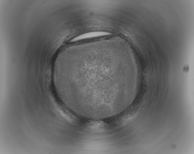 X0000090440642200707272155