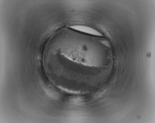 X0000090440643200707272155