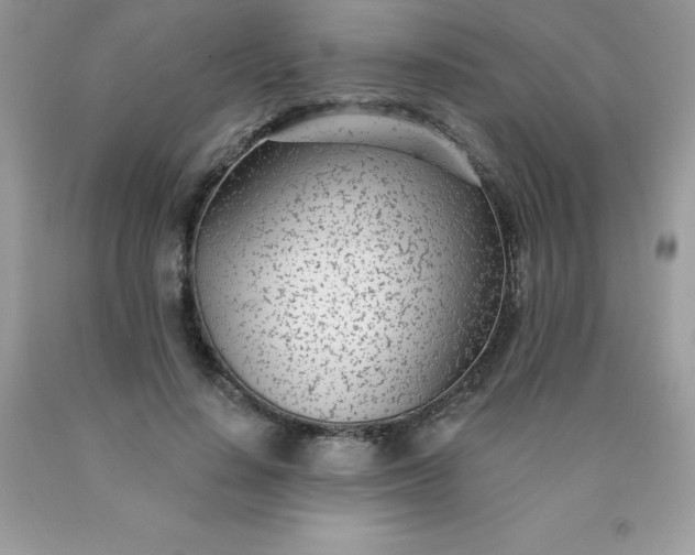 X0000090440644200707272155