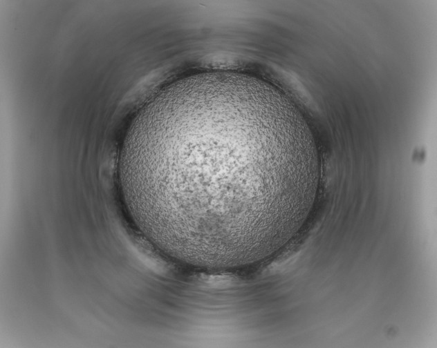 X0000090440645200707272155