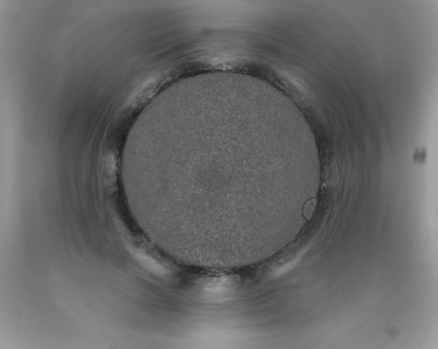 X0000090440646200707272155