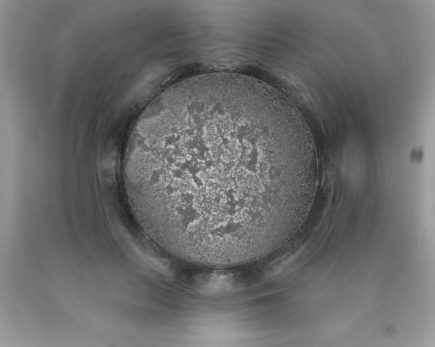 X0000090440647200707272155