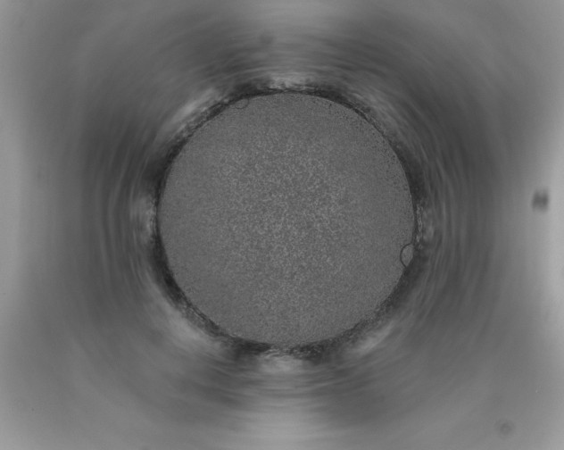 X0000090440648200707272155