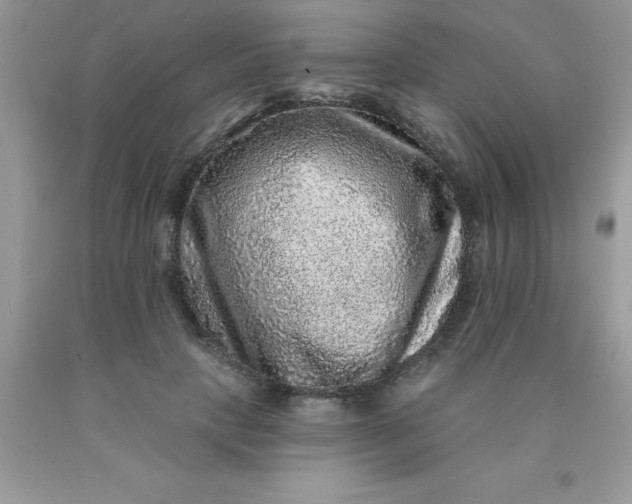 X0000090440649200707272155