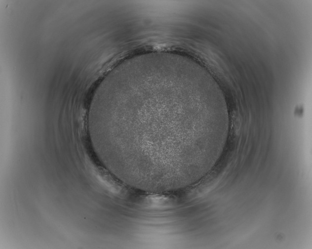 X0000090440650200707272155