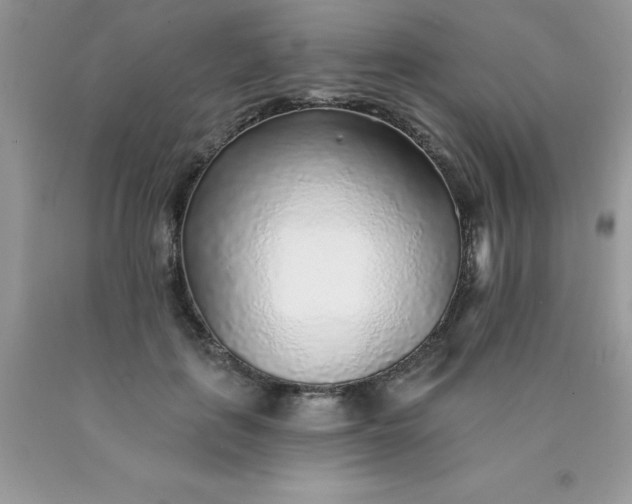 X0000090440651200707272155