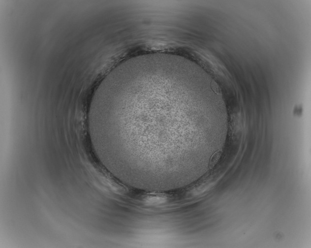 X0000090440653200707272155