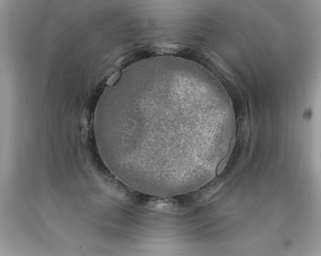 X0000090440655200707272155