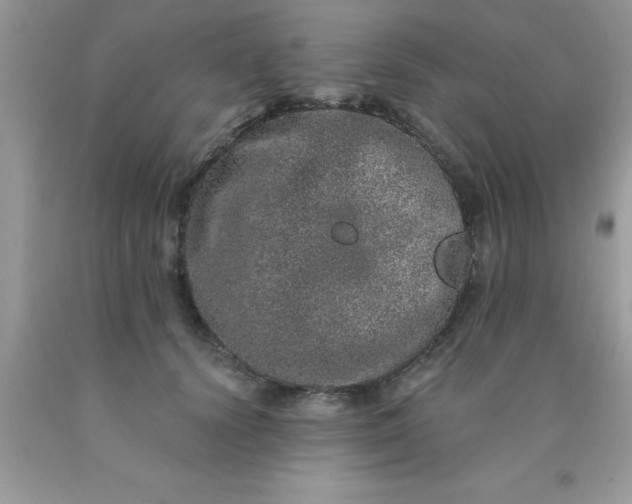 X0000090440656200707272155