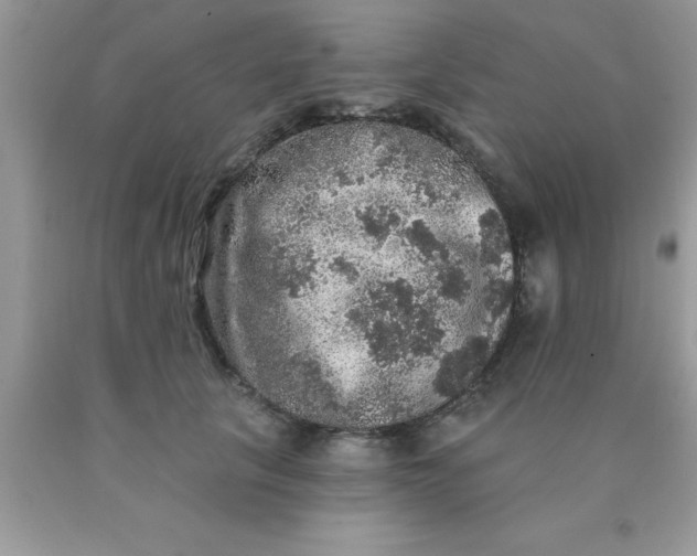 X0000090440657200707272155