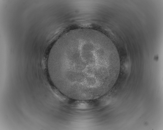 X0000090440658200707272155