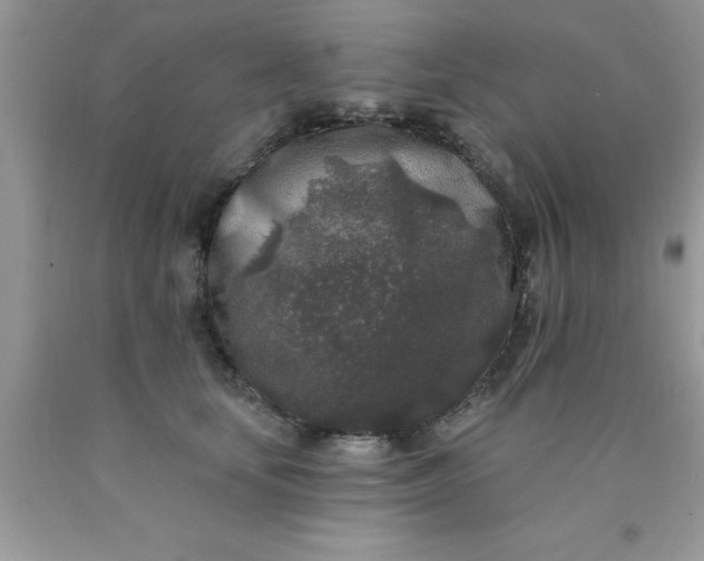 X0000090440659200707272155