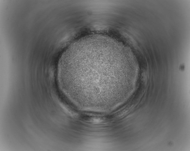 X0000090440662200707272155