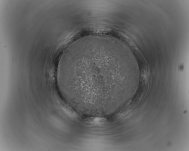 X0000090440663200707272155