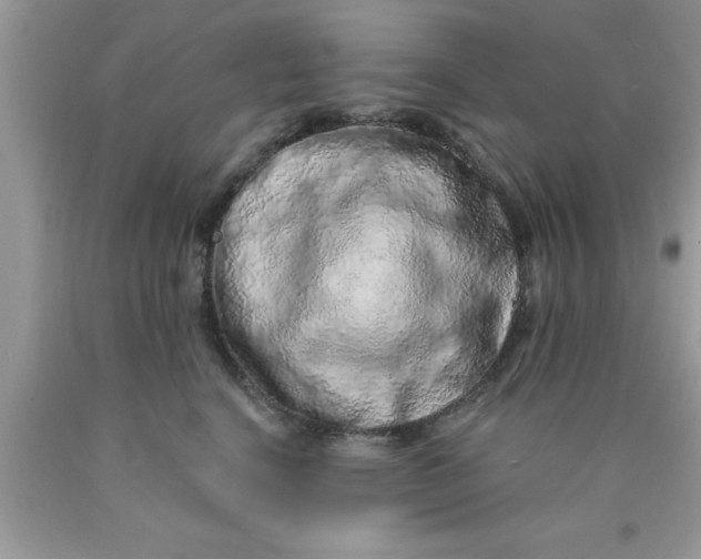 X0000090440664200707272155