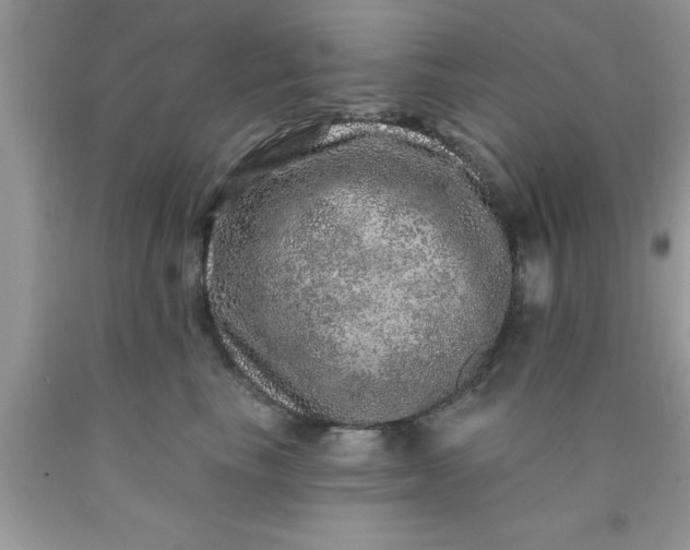 X0000090440665200707272155