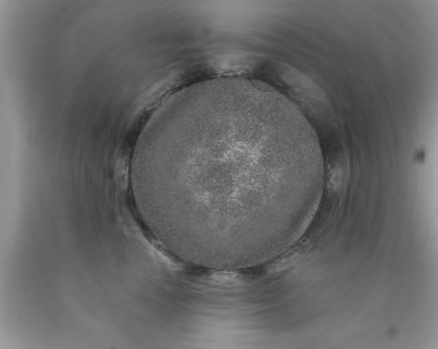 X0000090440666200707272155