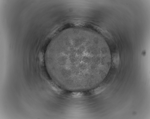 X0000090440667200707272155