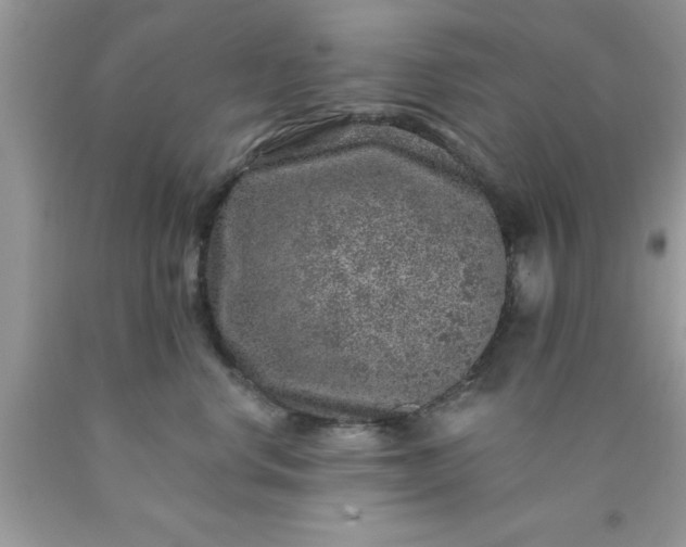 X0000090440668200707272156