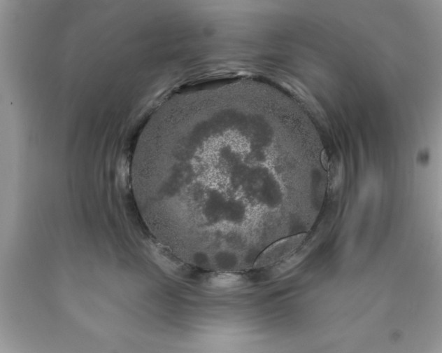 X0000090440669200707272156