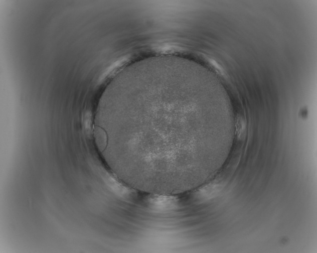 X0000090440670200707272156