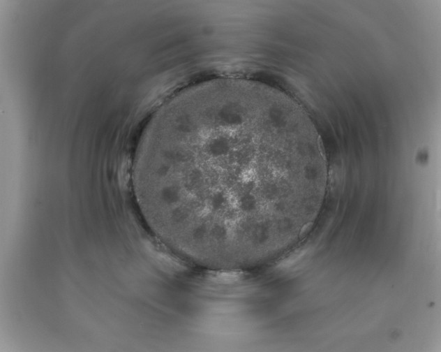 X0000090440671200707272156