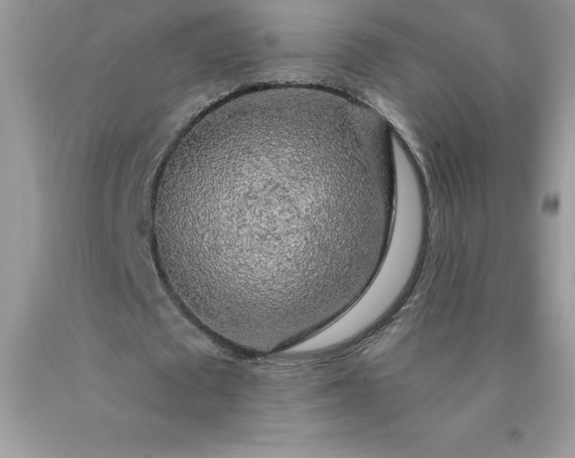 X0000090440673200707272155