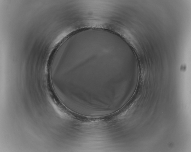 X0000090440674200707272155