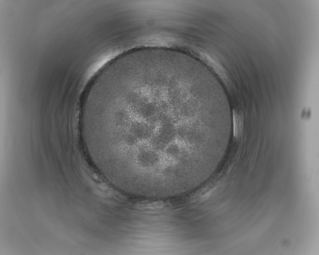 X0000090440675200707272155