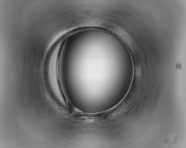 X0000090440676200707272155