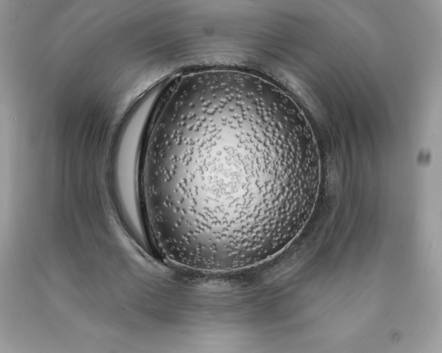 X0000090440677200707272155