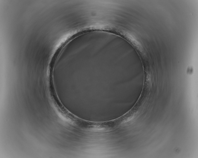 X0000090440678200707272155