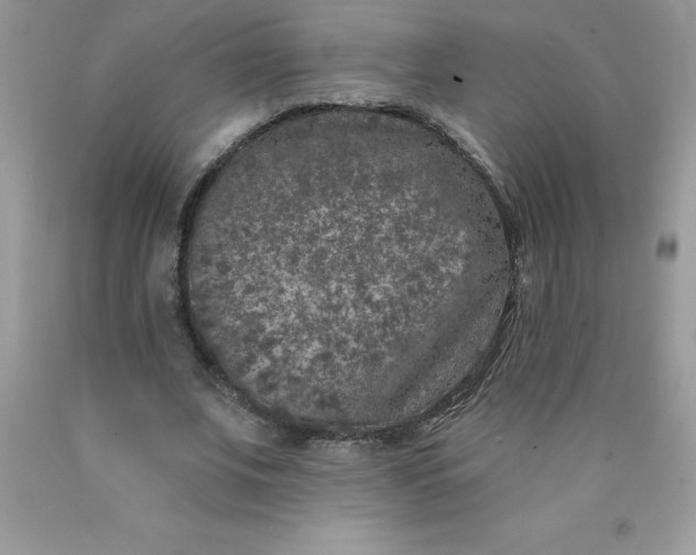 X0000090440679200707272155