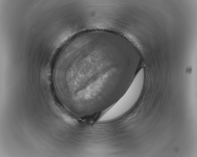 X0000090440680200707272155