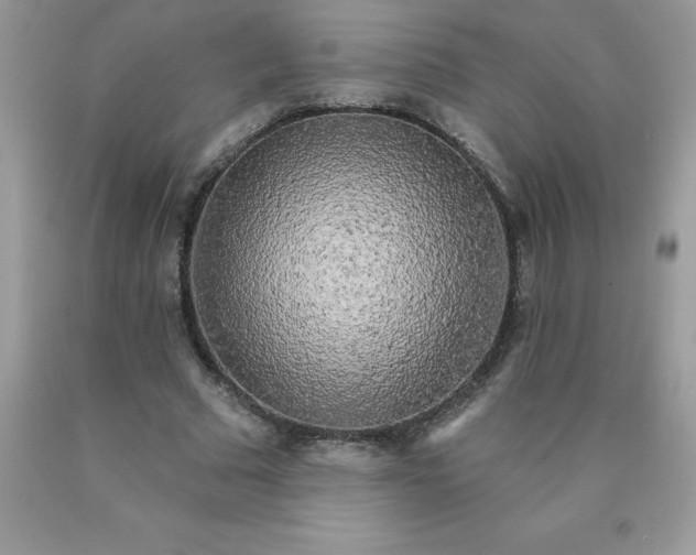 X0000090440681200707272155