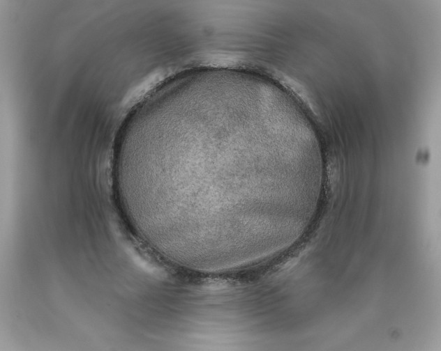 X0000090440682200707272155