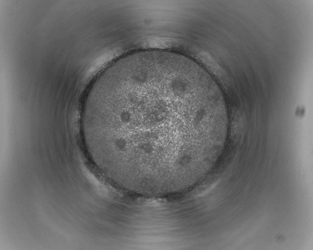 X0000090440683200707272155