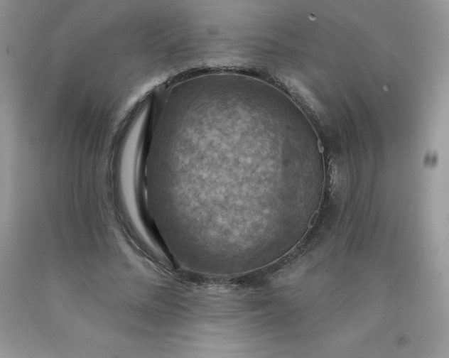 X0000090440684200707272155