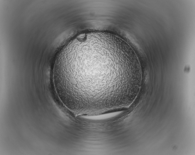 X0000090440685200707272155