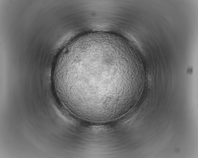 X0000090440686200707272155