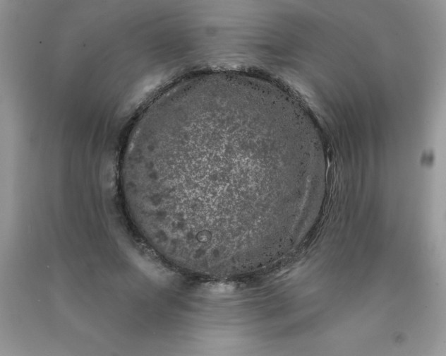 X0000090440687200707272155