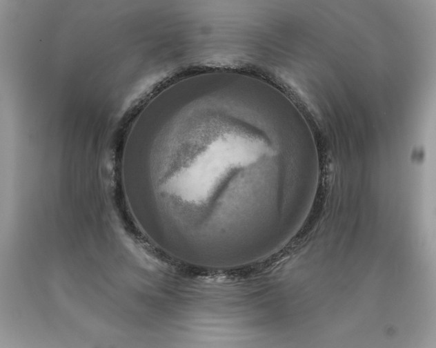 X0000090440688200707272155