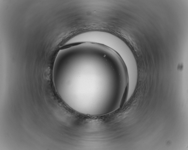 X0000090440689200707272155