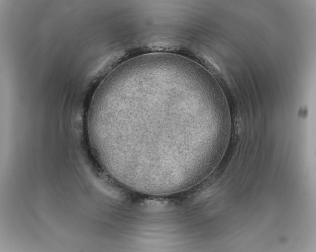 X0000090440690200707272155