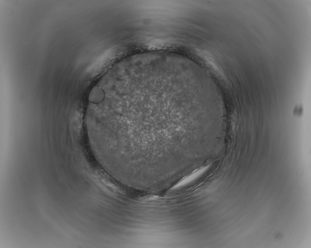 X0000090440691200707272155