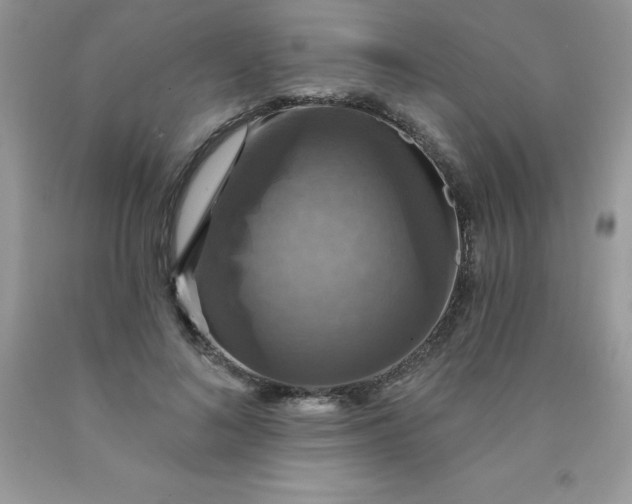 X0000090440692200707272155