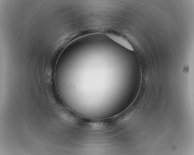 X0000090440693200707272155