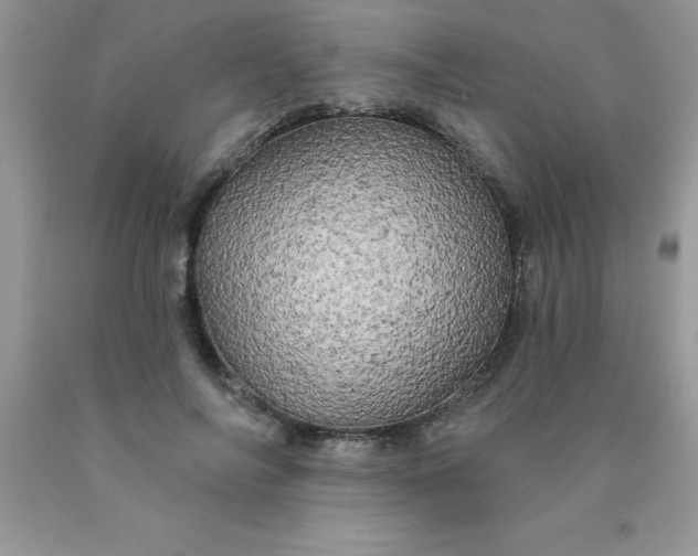 X0000090440694200707272155