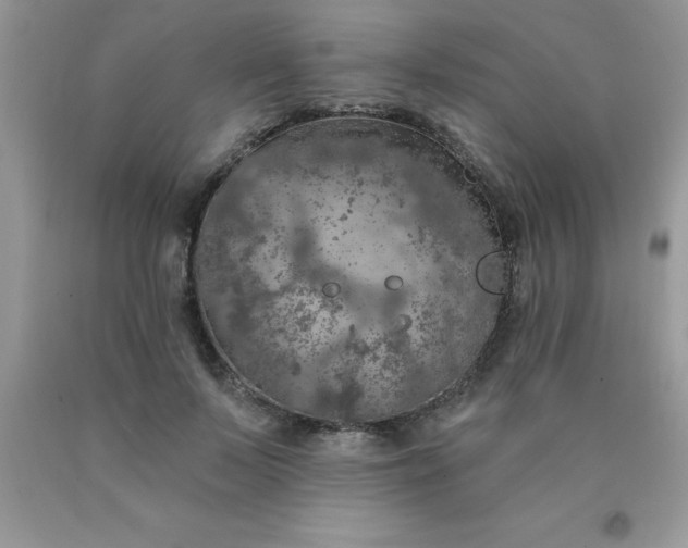 X0000090440695200707272155