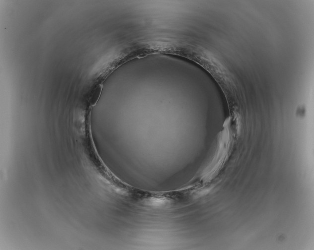 X0000090440696200707272154